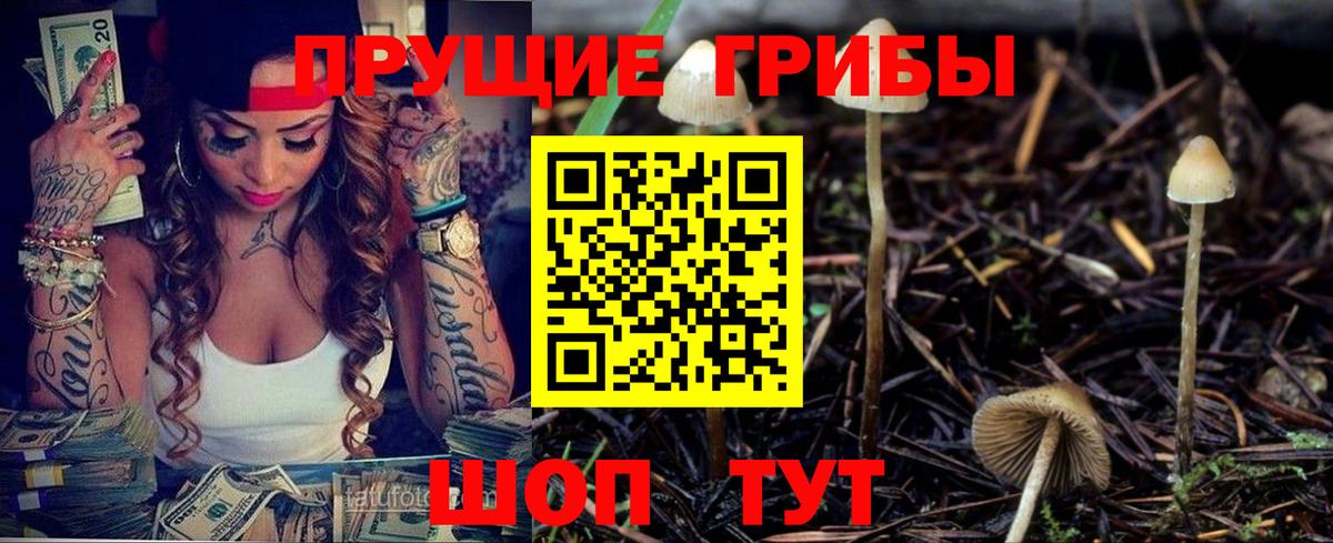 Псилоцибиновые грибы MAGIC MUSHROOMS  Вход с VPN  Мичуринск 